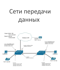 Сети передачи данных. Методическое пособие (EPUB)