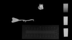 X-Ray Image of two metal objects found at a sámi residence from the 18th century