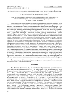 Особенности  развития  видов  Verbascum  в Центральной Якутии