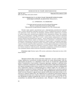 Регуляция роста и пространственной ориентации боковых корней Arabidopsis thaliana L